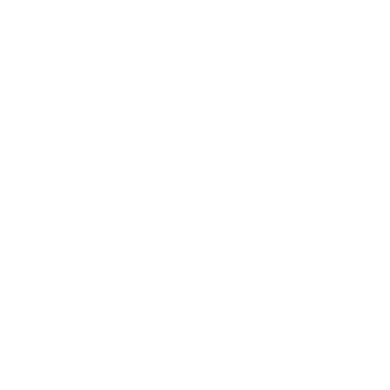 The International Charter: Space And Major Disasters logo