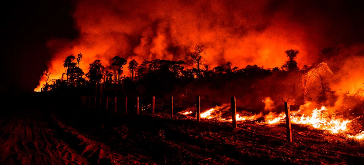 Fire in Brazil
